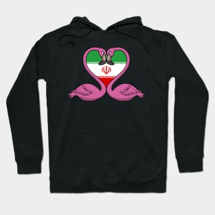 Flamingo Iran Hoodie